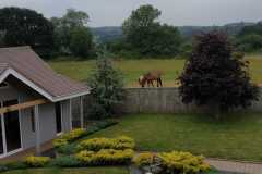 IMG-20200106-WA0001