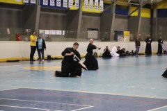 IMG_3351