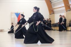 PAN_0337